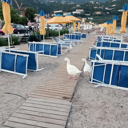 Aenaon Corfu Luxury #02 - Artemis